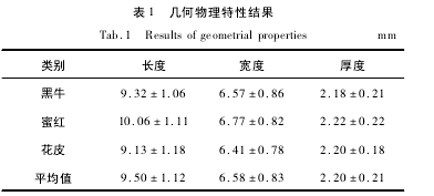 表 1 幾何物理特性結(jié)果