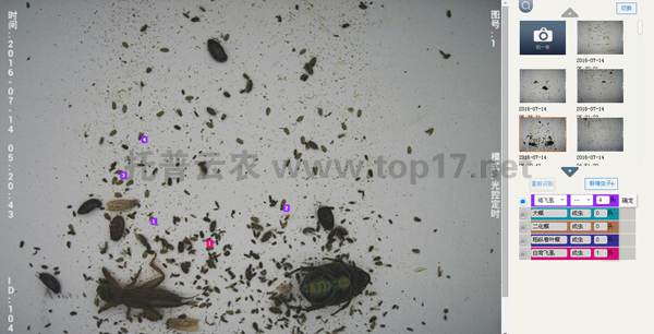 x(chng)R(sh)eϵy(tng)