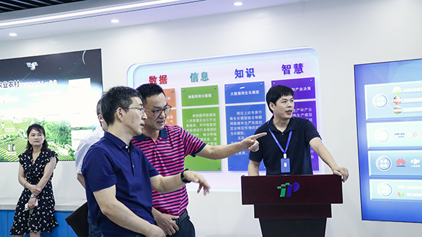 wLr(nng)_(d)˸߶J(rn)