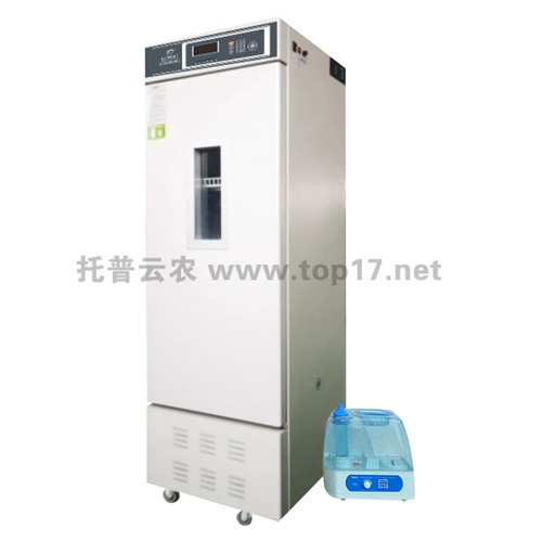 ˹B䣨310L RTOP-310Y