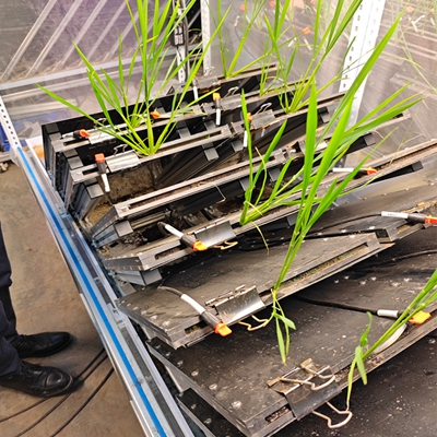 高通量植物根系表型采集分析系統(根盒式) TPN-GXY-GH